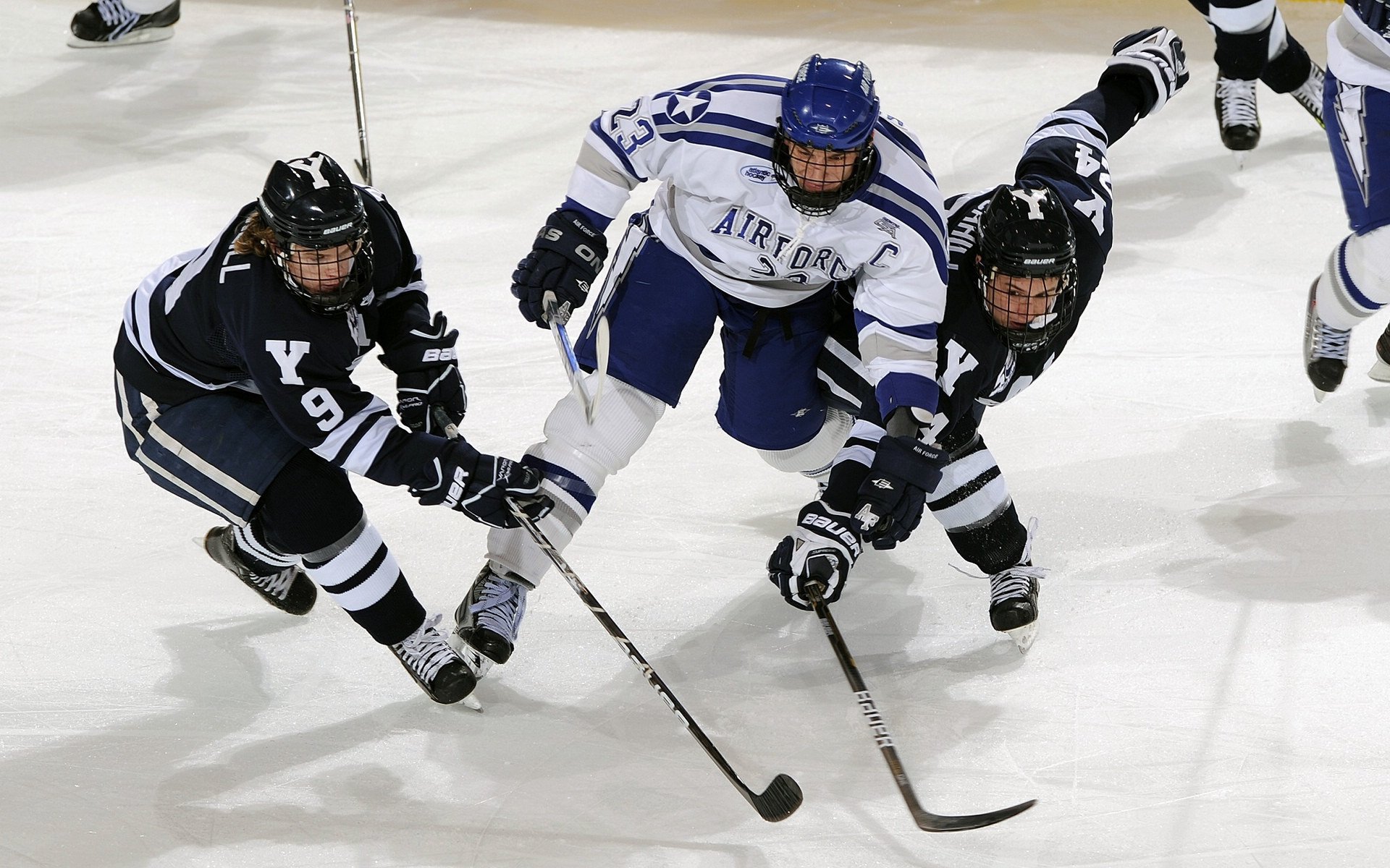 “萨尔·巴赫:南非新一代橄榄球天才”